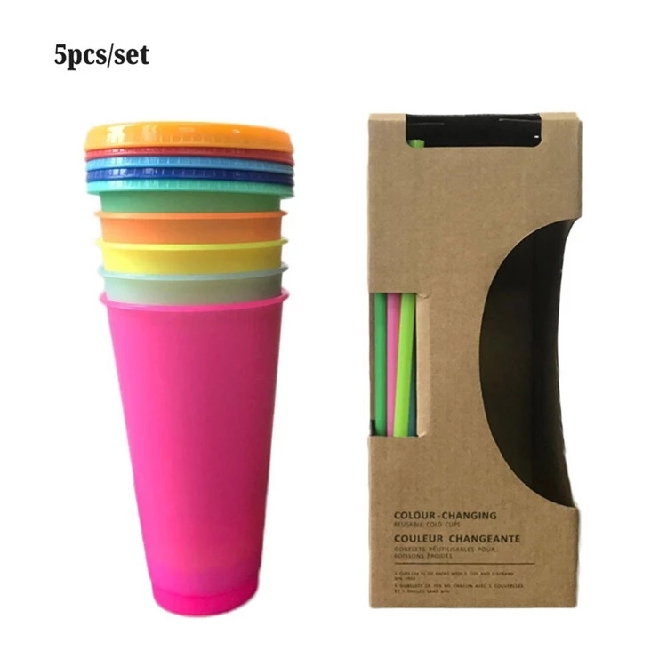 700ml Hot Sale Custom Cold Water Plastic Color Change Mug with Straw 